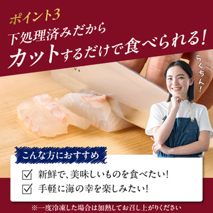 朝締め穂州鯛 サク2人前（12月配送）／ 真鯛 刺身【A127-12】