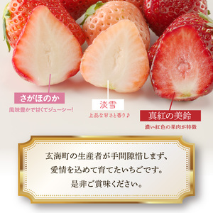 玄海町産いちご ミックス定期便| さがほのか 淡雪 真紅の美鈴 フルーツ 旬 定期便【Z049】
