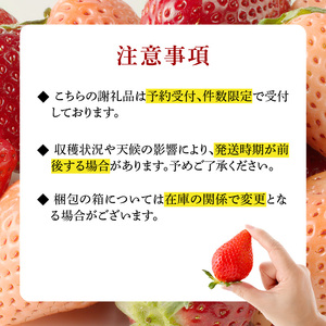 玄海町産いちご ミックス定期便| さがほのか 淡雪 真紅の美鈴 フルーツ 旬 定期便【Z049】