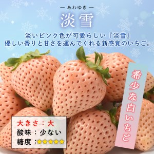 【数量限定！】こおりいちご　1kg　品種：淡雪（あわゆき）【予約受付：5月以降順次配送】