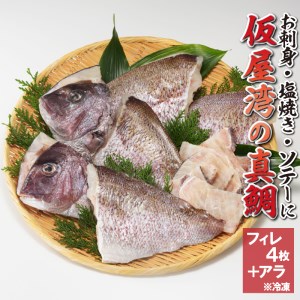 仮屋湾の真鯛~2尾のフィレ~