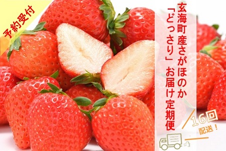 ★予約受付★玄海町産いちご“さがほのか” どっさりお届け定期便