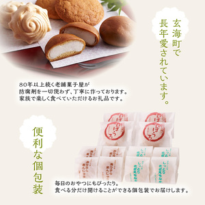 前川菓子屋の和菓子(12個入)