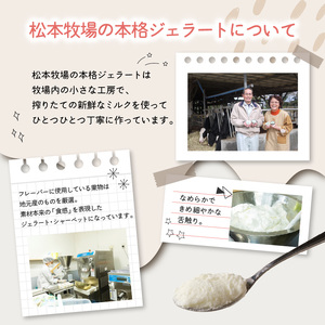 【最速配送】松本牧場ミリーズ 12個 ／ アイス ジェラート アイスクリーム【A056】