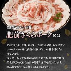 たっぷりお届け！佐賀県産豚肉（肥前さくらポーク）詰合せギフトセット