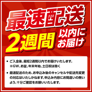 【最速配送】佐賀牛ヒレステーキ 約1kg / 焼肉 ステーキ【E027】
