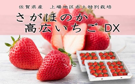 佐賀県産　上場地区赤土特別栽培　さがほのか　高広いちごDX