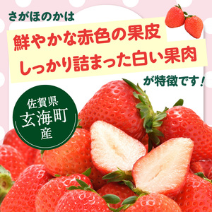 ★予約受付★杉山いちご農園 佐賀県玄海町産いちご「さがほのか」2025年1月～4月順次配送【B158】