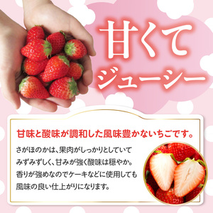 ★予約受付★杉山いちご農園 佐賀県玄海町産いちご「さがほのか」2025年1月～4月順次配送【B158】