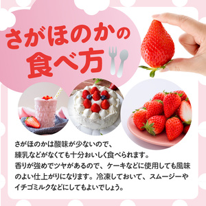 ★予約受付★杉山いちご農園 佐賀県玄海町産いちご「さがほのか」2025年1月～4月順次配送【B158】