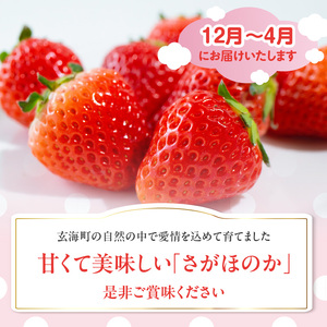 ★予約受付★杉山いちご農園 佐賀県玄海町産いちご「さがほのか」2025年1月～4月順次配送【B158】