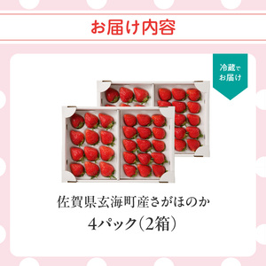 ★予約受付★杉山いちご農園 佐賀県玄海町産いちご「さがほのかDX」2025年1月～4月順次配送【B159】