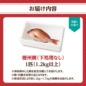 真鯛（下処理なし）／ 1尾 真鯛【A160】