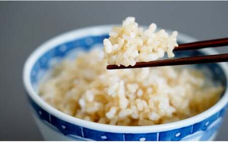 K45-6【食べやすい玄米！3回定期便】ひのひかり 新食感 一分づき 玄米 8kg (2kg×4袋) 3回 定期便 棚田米 西山食糧