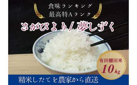 【2024年9月末～ 新米を発送！】みゆきファーム 有田 棚田米 10kg 精米したてを生産農家から直送！食味ランキング最高ランクの特A品種（さがびより/夢しずく） K14-10