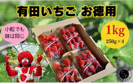 【2026年2月～順次発送】有田いちご 1kg ちょっと小粒（2L～Mサイズ）250g×4パック 朝摘み完熟いちごを即日発送！【みゆきファーム】いちごさん いちご イチゴ 苺 F12-46