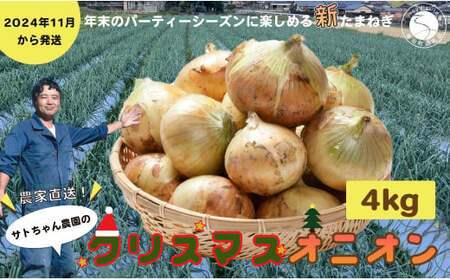 農家直送！サトちゃん農園のクリスマスオニオン 4kg 【サトちゃん農園】たまねぎ 新玉ねぎ しんたま クリスマス 料理 サラダ フレッシュ ごちそう F6-4