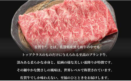 牛肉＆鶏肉 佐賀の地元産お肉を2種楽しめる 佐賀牛小間切れ ありたどり塩ネギ セット 各300g 計600g 肉 佐賀牛 牛肉 おすすめ N13-3