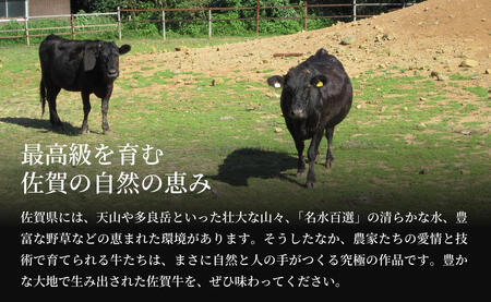 佐賀牛ロースしゃぶしゃぶ・すき焼き用肉１kg！【霜降りブランド牛をお届け！】 牛肉 黒毛和牛 極上の佐賀牛 厳選 すきやき 1キロ 50000円 5万円 お肉 おにく ギフト プレゼント 贈り物 N50-6