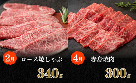 【ふるなび限定】佐賀牛定期便 偶数月に届く バラエティ 全6回 計1.9kg 肉 定期 おすすめ ギフト 贈答 黒毛和牛 ランキング N120-15 FN-Limited-SP