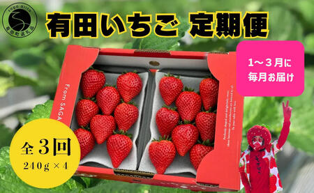 ＜予約受付＞【3回定期便】有田いちご 朝摘み完熟いちご4パックを毎月お届け！ (1月～3月の全3回) 240g×4パック【みゆきファーム】有機肥料にこだわった美味しいいちごです いちごさん F40-12
