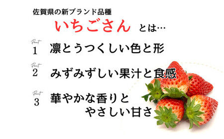 ＜予約受付＞【3回定期便】有田いちご 朝摘み完熟いちご4パックを毎月お届け！ (1月～3月の全3回) 240g×4パック【みゆきファーム】有機肥料にこだわった美味しいいちごです いちごさん F40-12
