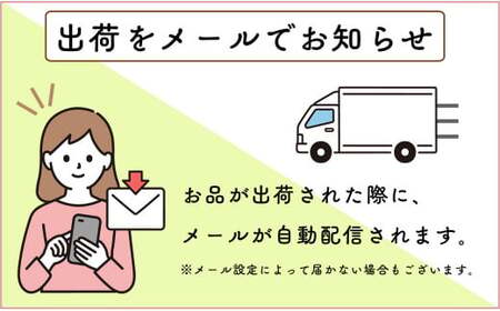 【4月中旬発送】発送予約受付 佐賀牛 ローストビーフ400g【ご自宅でローストビーフ丼が作れる！晩酌にも最適！子どもも大人も楽しめます】美味しいローストビーフ 人気のローストビーフ N15-24