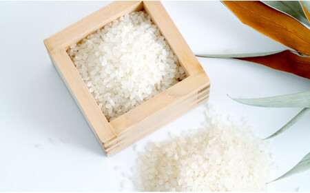 K7-1 佐賀のお米食べ比べセット（夢しずく2kg・さがびより2kg）JA伊万里