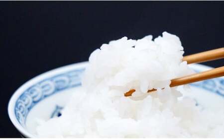 K8-2 主婦が喜ぶ！！お手軽簡単「無洗米」食べ比べセット（夢しずく2kg・さがびより2kg）JA伊万里