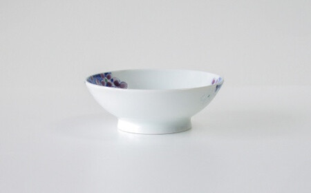 有田焼 紫陽花 小皿2枚セット 辻聡彦 聡窯 A35-162 | 佐賀県有田町