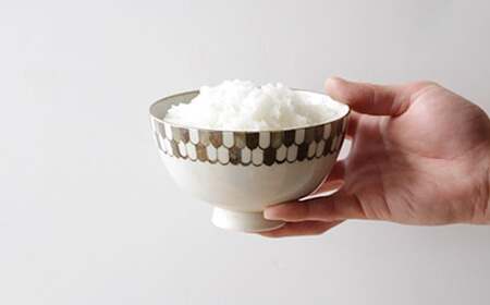 有田焼 hibi kuppi RICE BOWL 2個セット【ヤマト陶磁器】食器 器 うつわ 磁器 陶磁器 茶碗 茶わん ごはん茶碗 ペア 2個 セット シンプル ベージュ 印判手 A25-587