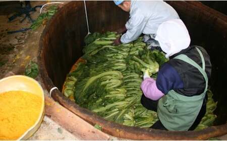 佐賀県産高菜使用高菜乃華(4種入り）前田食品工業 高菜漬け 佐賀県産高菜漬け 有田町産高菜漬け 高菜漬4種セット漬物 九州産高菜 美味しい漬物 チャーハン お茶漬け 明太子高菜 辛子高菜 8000円 F8-12