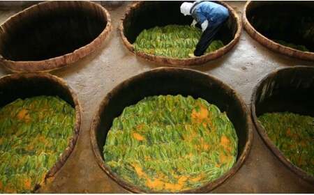 高菜乃華 3個入りセット 漬物 伝統的製法 高菜漬け 乳酸発酵 漬物 高菜漬け 油炒め辛子めんたい 辛子高菜漬け 葉がくれ 漬物 3つの味が楽しめる ご飯 漬物 おにぎり 高菜漬け パスタ 【前田食品工業】 6000円 F6-5