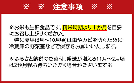 [令和5年産]特A評価！『さがびより白米５kg』OB0001