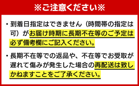 先行予約 [令和7年産] ＜定期便12回＞ 特A評価 さがびより 無洗米 10kg×12回