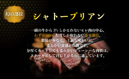 佐賀牛シャトーブリアン 600g (200g×3枚)