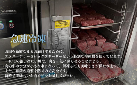 佐賀牛シャトーブリアン 600g (200g×3枚)