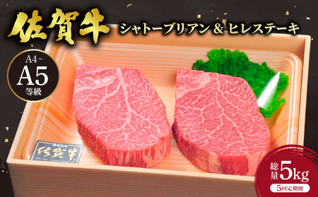 ＜定期便5回＞佐賀牛 シャトーブリアンステーキ ヒレステーキ 計5kg【2月・4月・6月・8月・10月お届け】