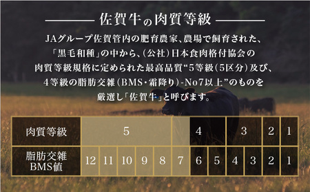 佐賀牛切り落とし1kg (500g×2パック)