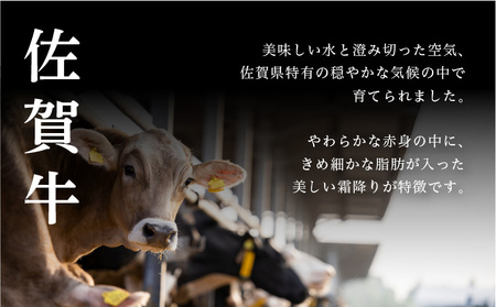 佐賀牛上カルビ 500g