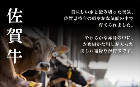 ＜定期便3回＞佐賀牛切り落とし 計1.5kg (500g×3回)