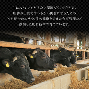 佐賀牛シャトーブリアン600g (200g×3枚)