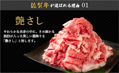 佐賀牛たっぷり切り落とし 1kg (500g×2パック)