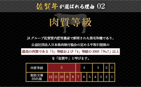 佐賀牛たっぷり切り落とし 1kg (500g×2パック)