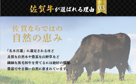 佐賀牛ローストビーフ 2本専用 タレ1本付