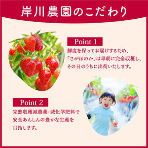 さがほのか 440g (220g×2p)