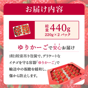 さがほのか 440g (220g×2p)