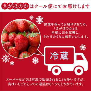 さがほのか 440g (220g×2p)