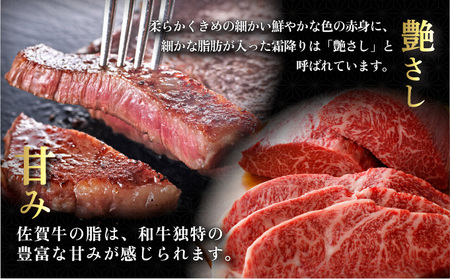 佐賀牛シャトーブリアンステーキ600g(200g×3枚)