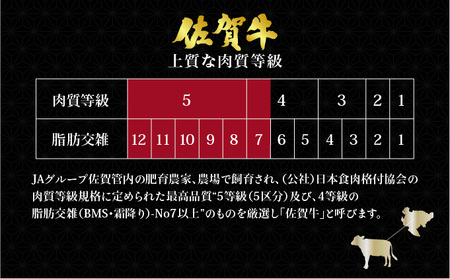 佐賀牛シャトーブリアンステーキ600g(200g×3枚)×3回定期便